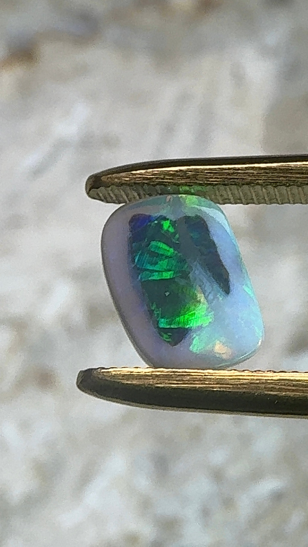 Lambina Opal // 2.6 carats