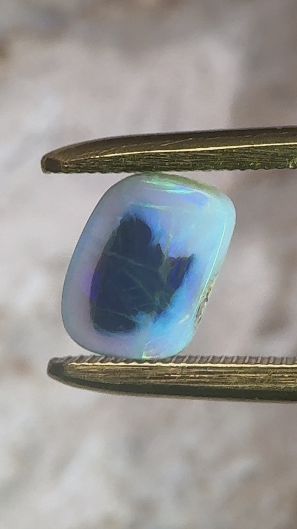 Lambina Opal // 2.6 carats